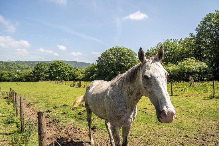 Images for Tamar Valley, East Cornwall - 4.58 acres