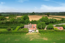 Images for Holt