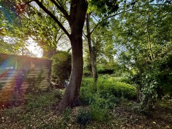 Images for Milton Road, Impington, Cambridge