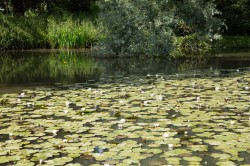 Images for Merstone, Isle of Wight