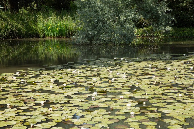 Images for Merstone, Isle of Wight