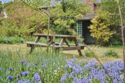Images for Ashdon, Saffron Walden