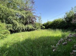 Images for Merton, Okehampton