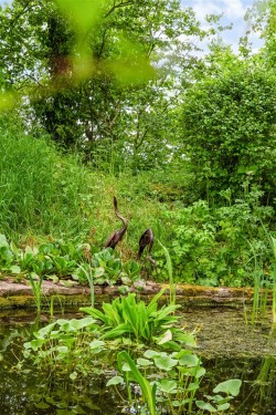 Images for Filkins, Lechlade