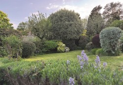 Images for Birchill, Axminster