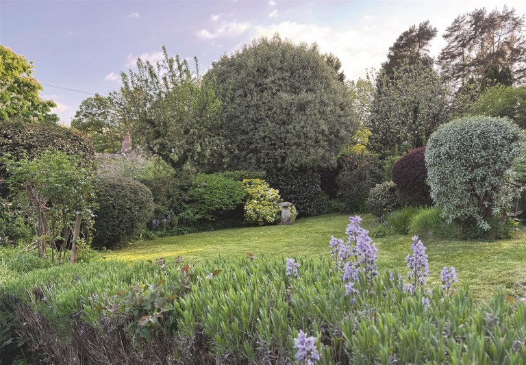 Images for Birchill, Axminster
