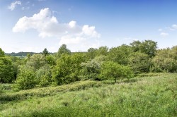 Images for Little Hill, Buckland St. Mary, Chard