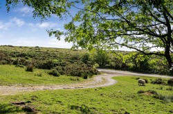 Images for Postbridge, Yelverton