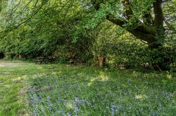 Images for Postbridge, Yelverton