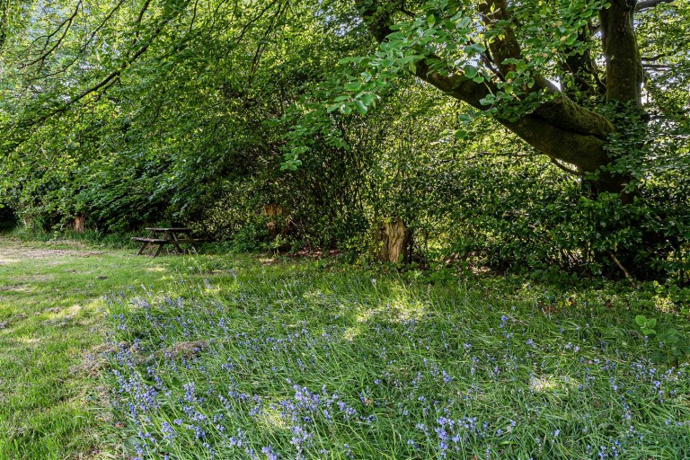 Images for Postbridge, Yelverton