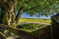 Images for Postbridge, Yelverton