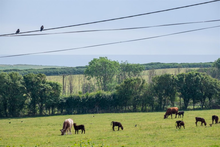 Images for Mottistone, Isle of Wight
