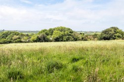 Images for Wheal Plenty, Scorrier, Redruth
