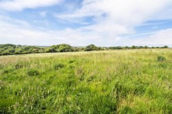 Images for Wheal Plenty, Scorrier, Redruth
