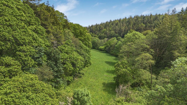 Images for Rezare - 4.66 acres in all
