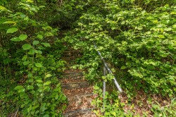 Images for Rezare - 4.66 acres in all