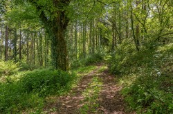 Images for Rezare - 4.66 acres in all