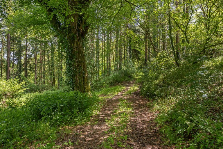 Images for Rezare - 4.66 acres in all