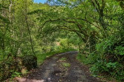 Images for Rezare - 4.66 acres in all