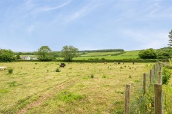 Images for Higher Ansty, Dorchester