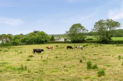 Images for Higher Ansty, Dorchester
