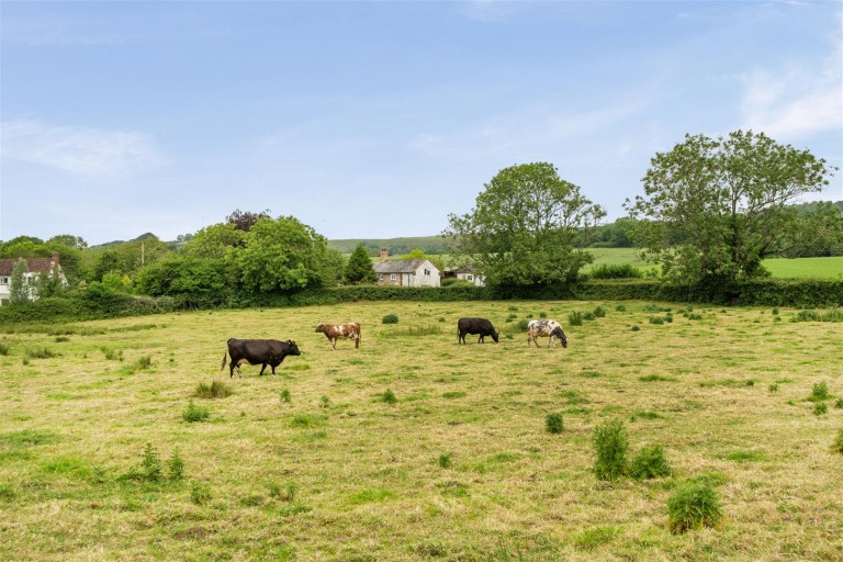 Images for Higher Ansty, Dorchester