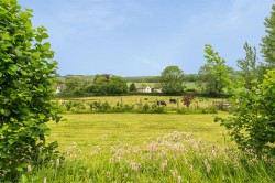 Images for Higher Ansty, Dorchester