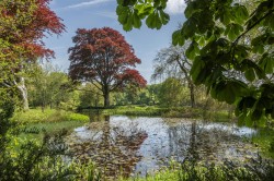 Images for Avishays, Chaffcombe