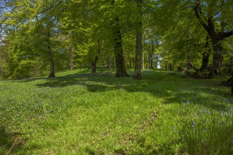 Images for Avishays, Chaffcombe