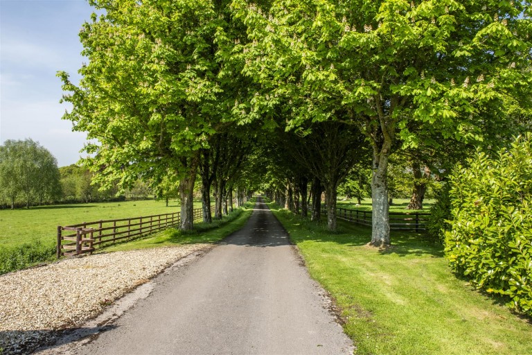 Images for Avishays, Chaffcombe