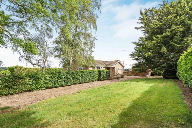Images for Ten Mile Bank, Littleport