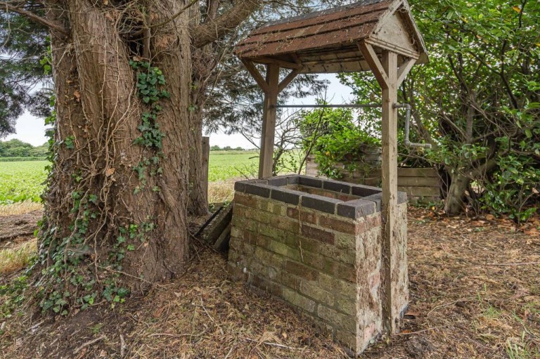 Images for Ten Mile Bank, Littleport