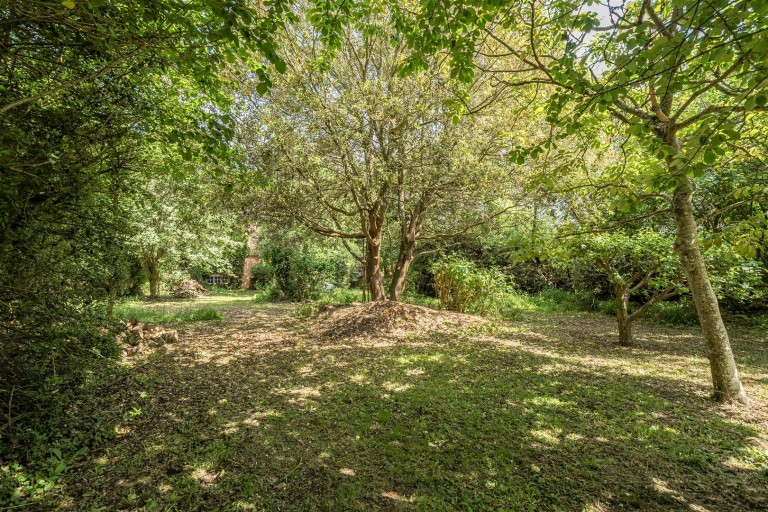 Images for Pettycrate Lane, Chideock, Bridport