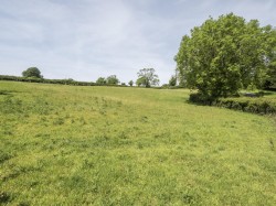Images for Higher Holway Farm, Cattistock, Dorchester