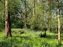 Images for Sandy Lane, Hornhill, Cannington, Bridgwater