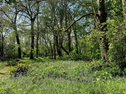 Images for Sandy Lane, Hornhill, Cannington, Bridgwater