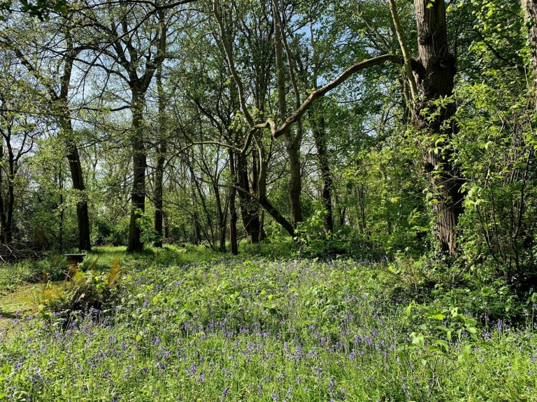 Images for Sandy Lane, Hornhill, Cannington, Bridgwater