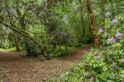 Images for Sandy Lane, Hornhill, Cannington, Bridgwater