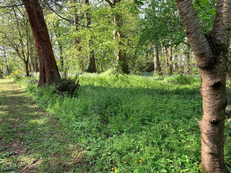 Images for Sandy Lane, Hornhill, Cannington, Bridgwater