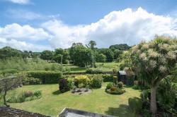 Images for Nursery Gardens, Bridport