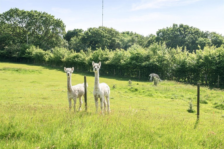 Images for Upton Cross - 10.66 acres in all