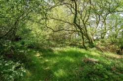 Images for Upton Cross - 10.66 acres in all