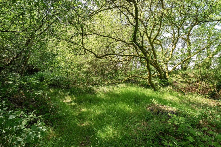Images for Upton Cross - 10.66 acres in all