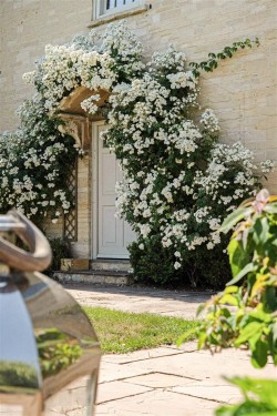 Images for Alvescot, Oxfordshire