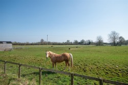 Images for Alvescot, Oxfordshire