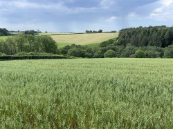 Images for Roborough, Winkleigh