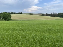 Images for Roborough, Winkleigh