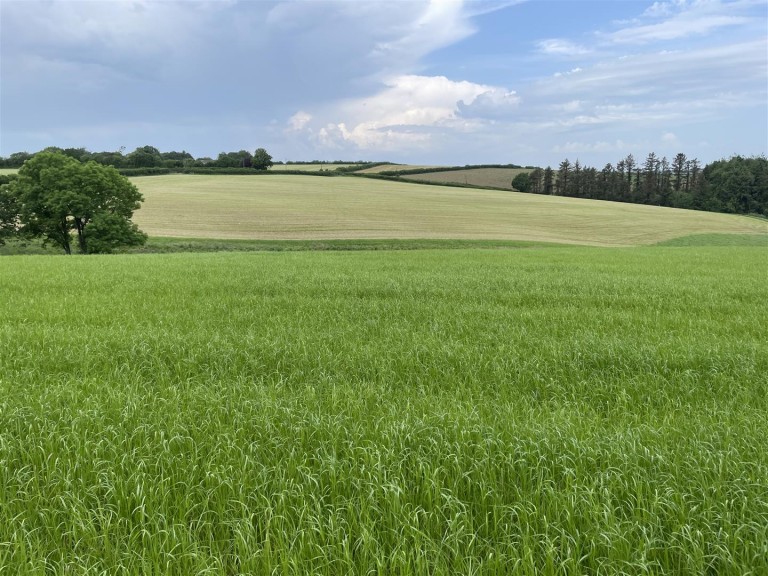 Images for Roborough, Winkleigh