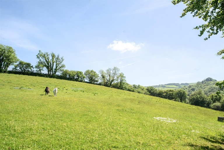 Images for Chillaton, West Devon - 14.59 Acres