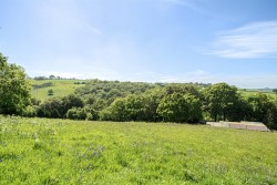 Images for Chillaton, West Devon - 14.59 Acres
